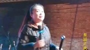 河南坠子mp4 免费下载《罗成算卦》选段