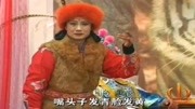 琴书mp4免费下载《樊梨花征西》黄玲玲搭救