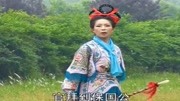琴书mp4免费下载《五女兴唐传》吴凤英柳眉