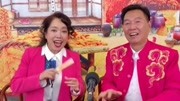 二人转《西厢观画一》董玮 韩子平 戏曲下载免费mp4下载