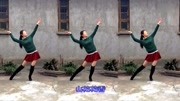 新生代广场舞 《山花花》初学广场舞一步一