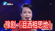 豫剧下载免费mp4下载《泪洒相思地》选段 陈艺娟 谁与你披麻戴孝送进坟下载