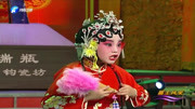 豫剧视频下载免费mp4《花打朝》选段 尚嘉宝