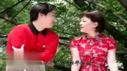 黄梅戏下载免费mp3《木瓜上市》选段 大红伞