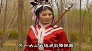 琴书mp4免费下载《飞龙传》郡主追赶史魁奔