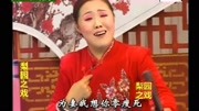 河南坠子版《想男人》戏曲视频下载免费mp4