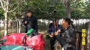 河南坠子mp4 免费下载《李世民哭灵》中原优