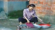民间小调mp4格式下载网址《五小燕哭妈》一