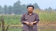 民间小调mp4格式下载网址《五小燕哭妈》想