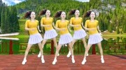 广场舞教学视频下载mp4《你是我永远的痛》