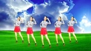 广场舞教程视频大全免费下载《梨山痴情花》