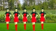 广场舞教学视频下载mp4《意乱情迷》动感时