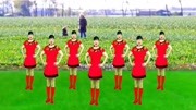 广场舞教学视频下载大全高清《今夜的你又和