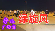 广场舞教程初级舞步分解动作《绿旋风》新编