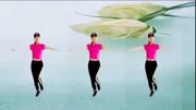 广场舞教程初级舞步下载《冬天里的白玫瑰》