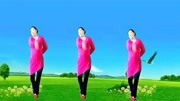 广场舞教程初级舞步慢动作《泉水叮咚》32步