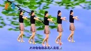 广场舞教程初级舞步分解动作《错过缘分错过