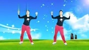 广场舞教程初级舞步下载《百花香》每天几分