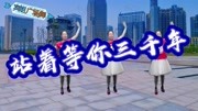 初学广场舞入门教程《站着等你三千年》你去