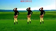 广场舞教学视频下载大全高清水兵舞《点歌的