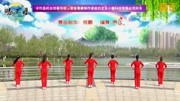 现代广场舞教学视频《天美地美中国美》广场
