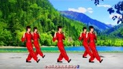 广场舞视频教程初级《错过花开错过爱》32步