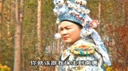 琴书下载免费mp3《飞龙传》东门外唐兵唐将