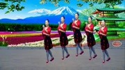 广场舞教学视频下载大全高清《花儿妹妹》你