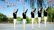 广场舞教学视频下载mp4《万树繁花》旋律动