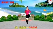 广场舞教学视频下载mp4《想你就会梦见你》