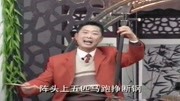琴书mp3打包下载《油锅炸海瑞》金子凌点齐