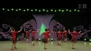 杨艺周思萍广场舞《南泥湾》适合在家里跳的