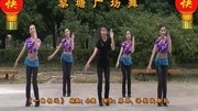 博白廖弟广场舞 《一曲相送》教学视频分解