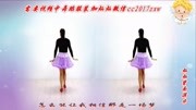 金灿灿广场舞《晚秋》在家跳最简单的健身舞