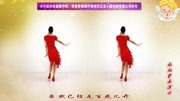 金灿灿广场舞《路边的野花不要采》适合在家