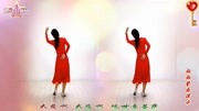 金灿灿广场舞《放下》2019最火简单的广场舞