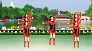广场舞教学视频下载大全高清《黄土情缘》动