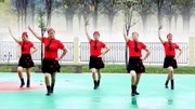 广场舞《金鸡芙蓉凰》学跳广场舞一步一步教