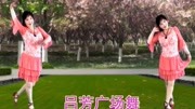 吕芳广场舞《梅花泪》背面分解演示学跳广场舞一步一步教慢动作视频下载