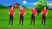 玫香广场舞《一个人挺好》DJ版在家跳最简单