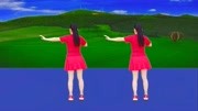 玫香广场舞原创《等到花儿开》背面演示学跳
