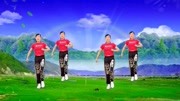 玫香广场舞《怎么说走就走》DJ版学跳广场舞