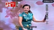 河南坠子mp4 免费下载《刘秀传》第一部 李