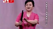 河南坠子mp4 免费下载《相府奇冤》第三部 