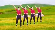 玫香广场舞《你潇洒我漂亮》学跳广场舞一步