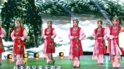 梨园春豫剧戏曲免费下载mp4高清《对花枪》选段 柏青演唱 老身家住南阳地下载