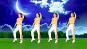 玫香广场舞 《凤凰展翅》学跳广场舞一步一