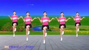 玫香广场舞《红尘情长》8步广场舞一步一步