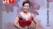 河南坠子长篇全集下载《少侠包公案》第二部