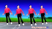 玫香原创广场舞《我不想再看到你》8步广场